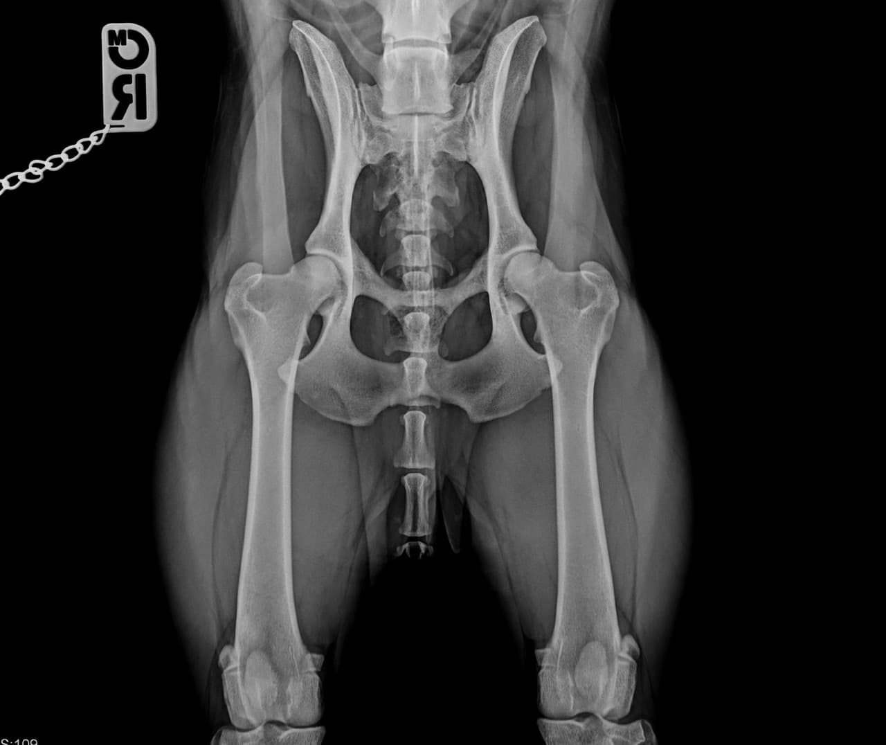 Bildgebende Untersuchung